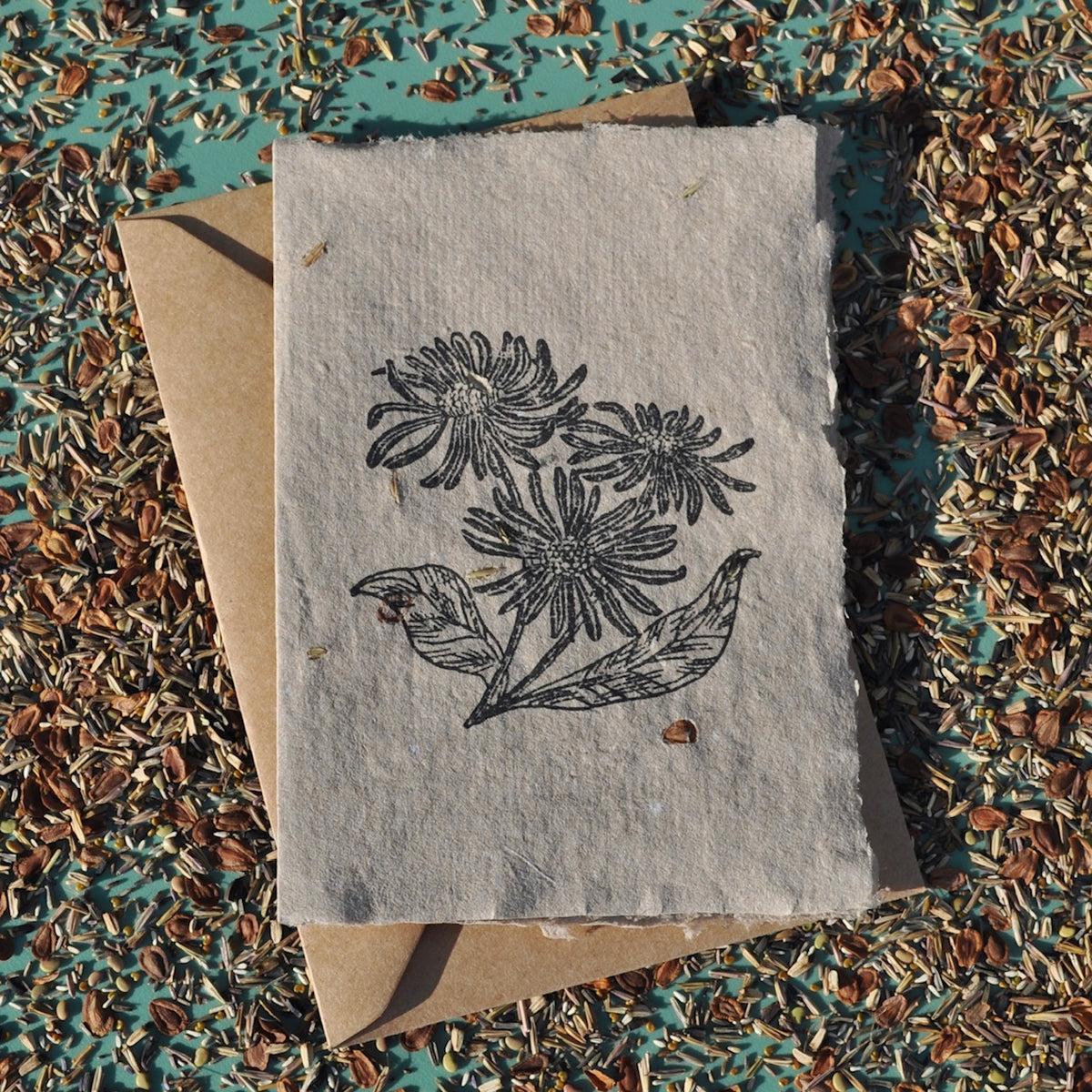 Seed Paper - Greeting Card (Aster)