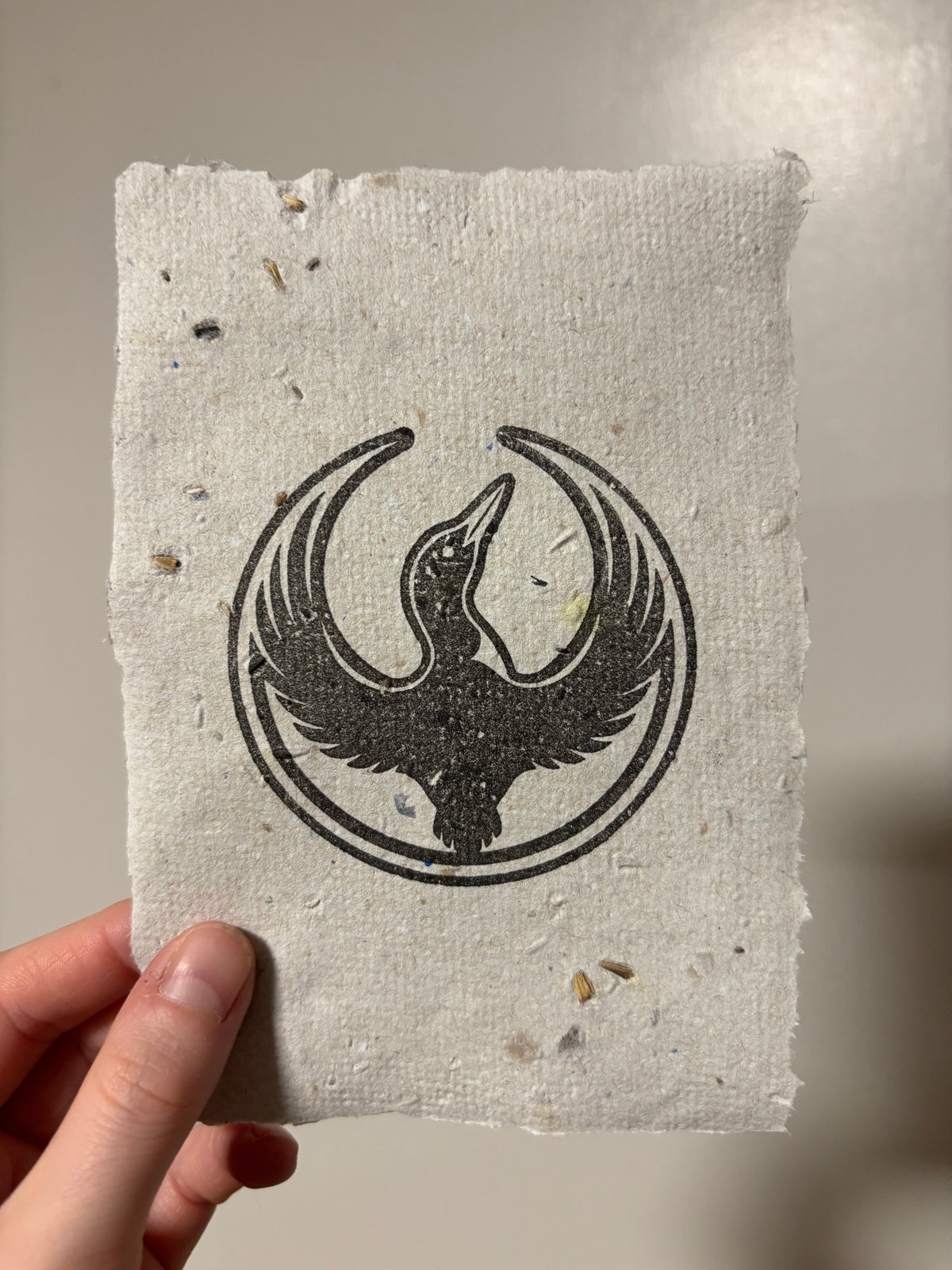 Rebel Loon