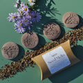 Seed Melt - Moths