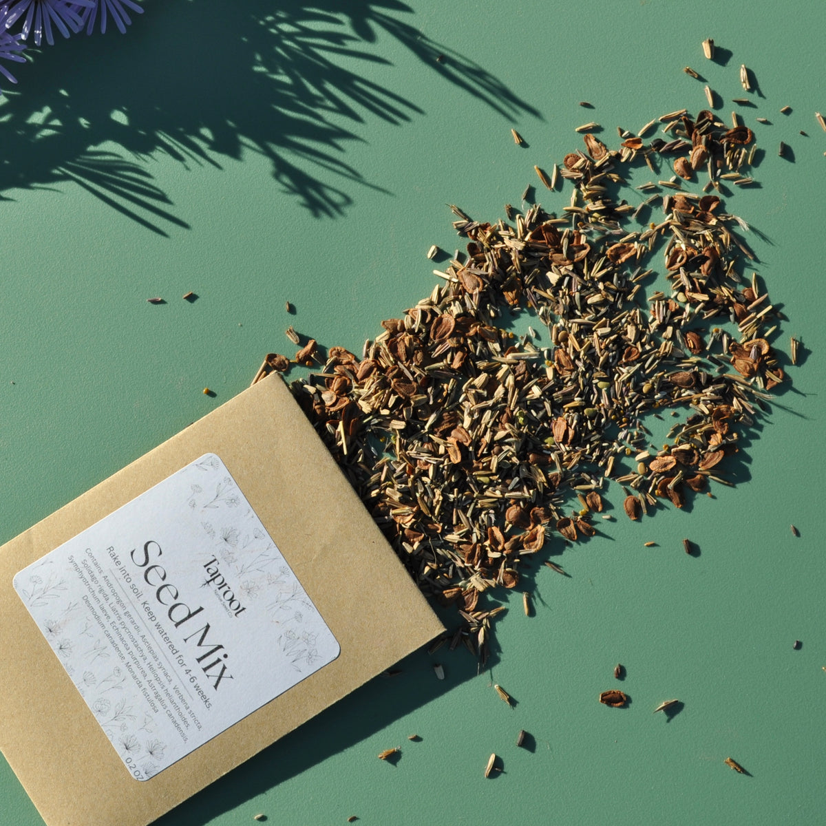 Seed Mix