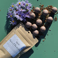 Seed Bombs