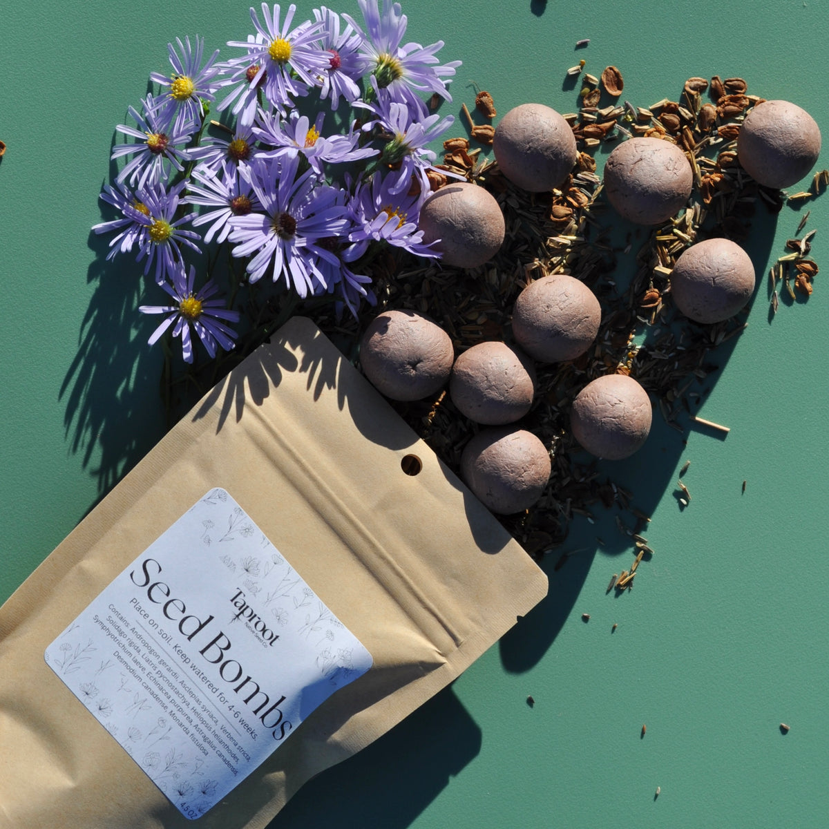 Seed Bombs