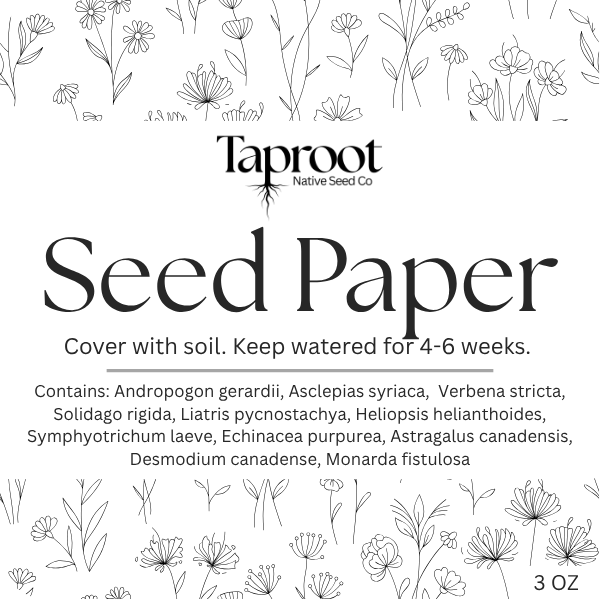 Seed Paper - Greeting Card (Delphinium)