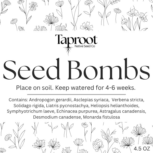 Seed Bombs