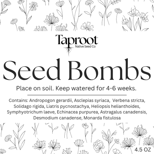Seed Bombs