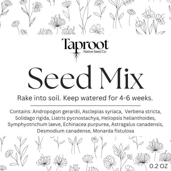Seed Mix