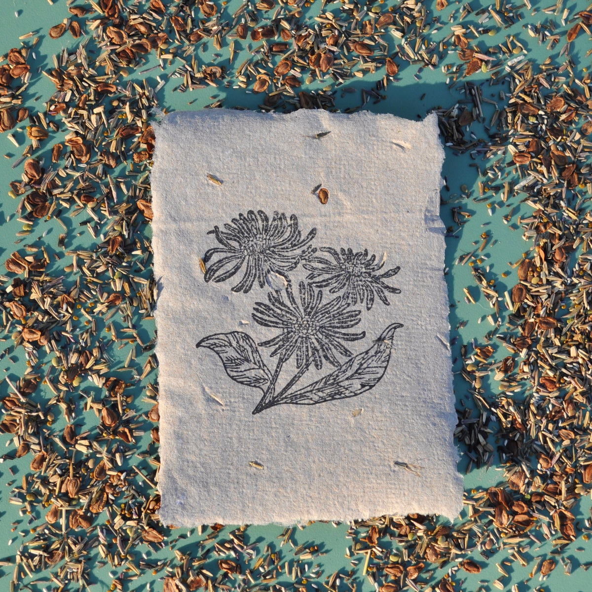 Seed Paper - Print 4-Pack