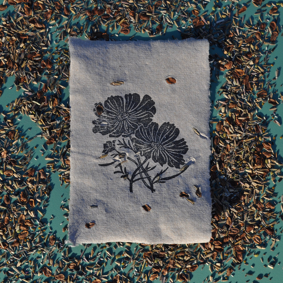 Seed Paper - Print 4-Pack