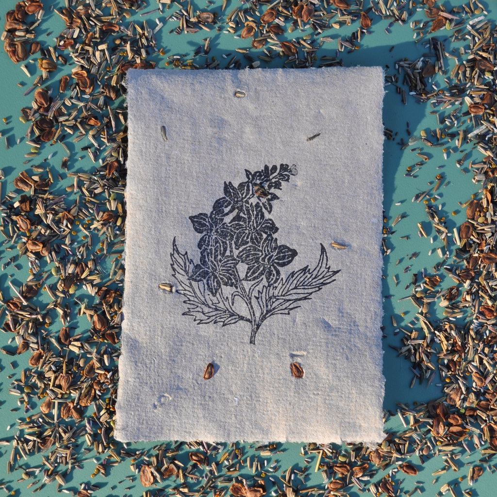 Seed Paper - Print (Delphinium)