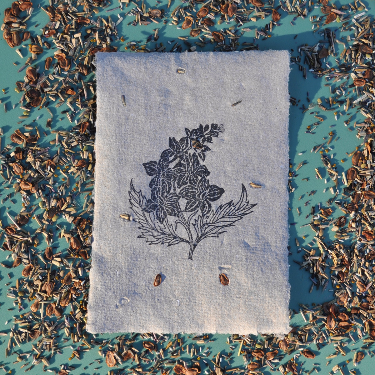 Seed Paper - Print 4-Pack