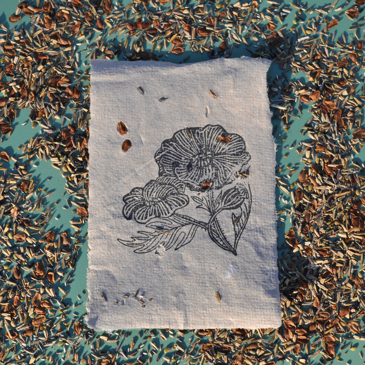 Seed Paper - Print 4-Pack